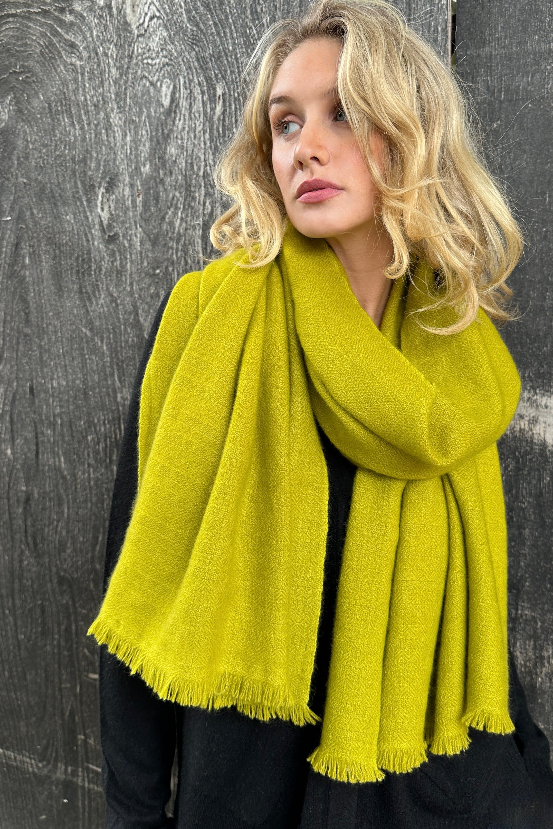 model wearing a bright  yellow green cashmere kitty tumeric scarf against a dark background