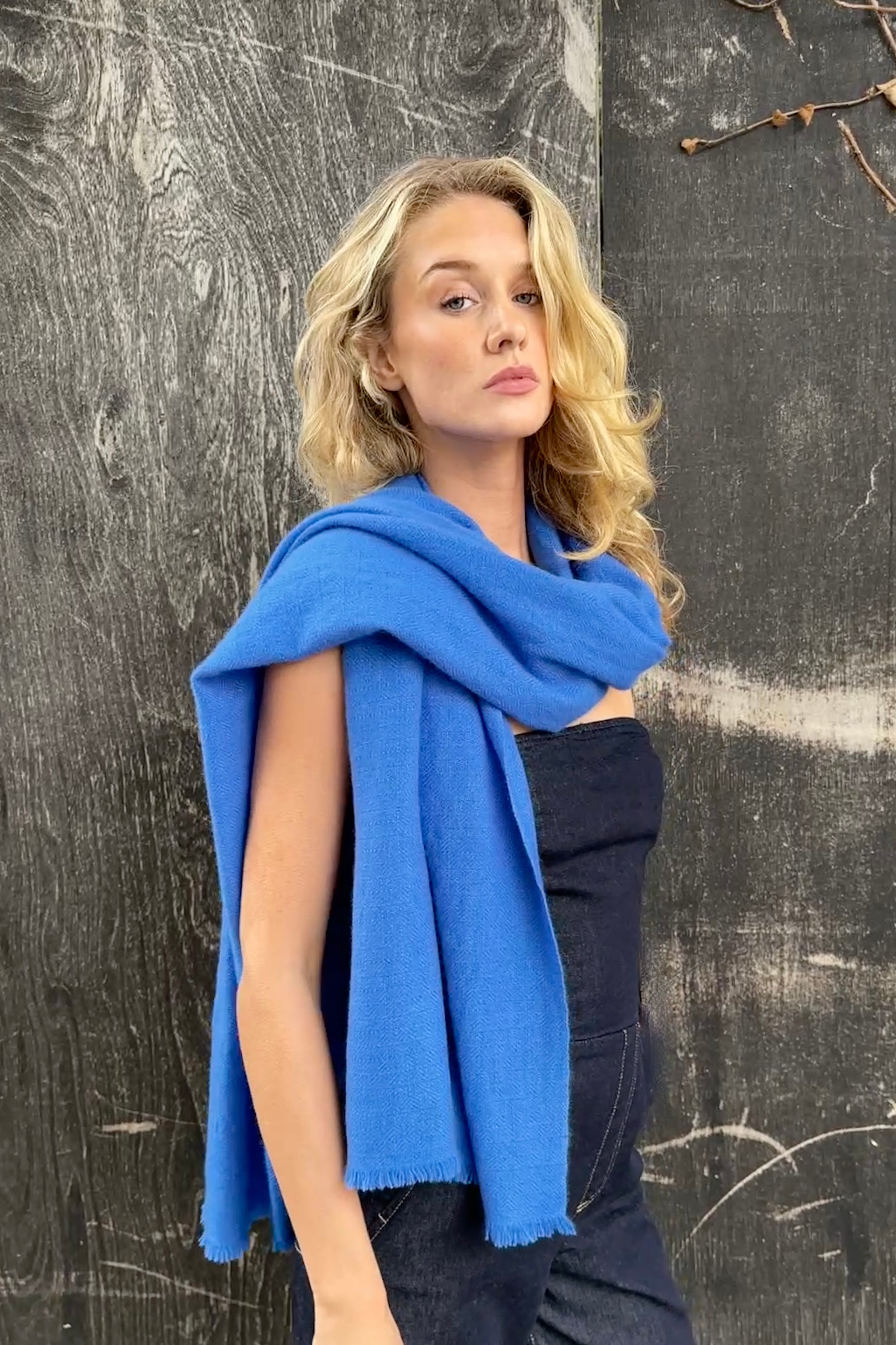 model wearing a blue kitty neon electric cashmere scarf against a textured dark wall