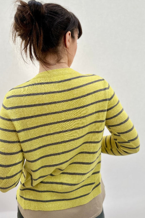 maragh stripe cardi slim fit yellow taupe back